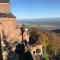 Le Logis du Vignoble