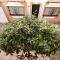 Town Apartment in Fuengirola Centre