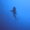 Paradise by Rashuthere Maldives - Rasdhoo