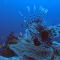 Paradise by Rashuthere Maldives - Rasdhoo