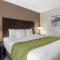 Comfort Inn & Suites Tualatin - Lake Oswego South