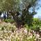 Finca Klara, Boutiquehotel - Apartment -Javea-Moraira-