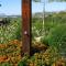 Finca Klara, Boutiquehotel - Apartment -Javea-Moraira-