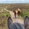 Pardlestone Farm Cottages