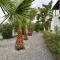 Luxury Villa Caesar Beach