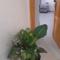 Appartement de luxe