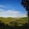 Wienerwaldblick