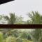 Sri Lanka Surf Villa Domus Graziella