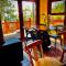 Cozzy Cabin at "Explore-Cafe & Lodge" Located in Duhatao, Chiloe Island, Patagonia, Chile