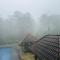 Elixir Woods Luxury Resort And Spa, Munnar