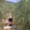 Corfiot Holiday Home with seaviews to Halikounas Beach - Halikounas
