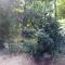 ASK Homestay