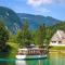 SPRING and SUMMER apartment near Ljubljana with FREE secure parking - 多姆扎莱