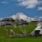 SPRING and SUMMER apartment near Ljubljana with FREE secure parking - 多姆扎莱