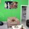 Apartman Oki Doki 1 - 比托拉