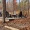 Loft w Fireplace Fire Pit WiFi Resort Amenities - Hedgesville