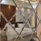 Saffron Guest House - Greater Noida