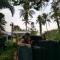 Layang Layang Home