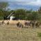 Zebula Golf and Wildlife Estate - Giraffe Plains Pax 4 - Moi Signature Luxury villa