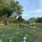 At Green camping and cafe ลานกางเต๊นท์ - Ban Tha Sai