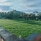 The Paddies Villa #delux