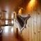 Laugarfell Accommodation & Hot Springs
