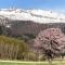 Furano - Hotel / Vacation STAY 35850