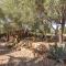 Can Pina - Eco Groc -