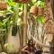 Hostel Marthi Itamambuca - أوباتوبا
