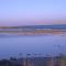 Liviko View