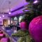 Ashbys Accommodation & Spa hire