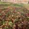Rustic Dreams-Dobolii de Sus - Feldoboly