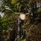 Au Pied Du Trieu, the glamping experience