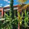 Honey Comb Villa - Bantam Spring