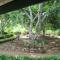 Nature Hub Koslanda