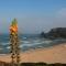 PEDRA DOS CORVOS Beach House