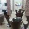 Lara Al Jawf Hotel Apartments