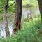 Serenity On The Lehigh River - Thornhurst