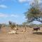 Marloth Kruger View - Marloth Park