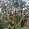 IInfinity Kodaikanal