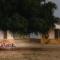 Desert Vista Camp Jaisalmer - Jaisalmer