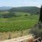 Winery Houses in Chianti