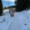 Appartement Hartl