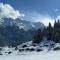 Chalet Theresia