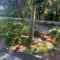 Cozy Home Surrounded by Trees - فيدرال واي