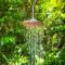 Highlands Rainforest Sanctuary