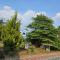 Bridge Point Home Stay