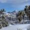 The Joshua Tree House - Joshua Tree