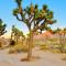 The Joshua Tree House - Joshua Tree