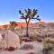 The Joshua Tree House - Joshua Tree